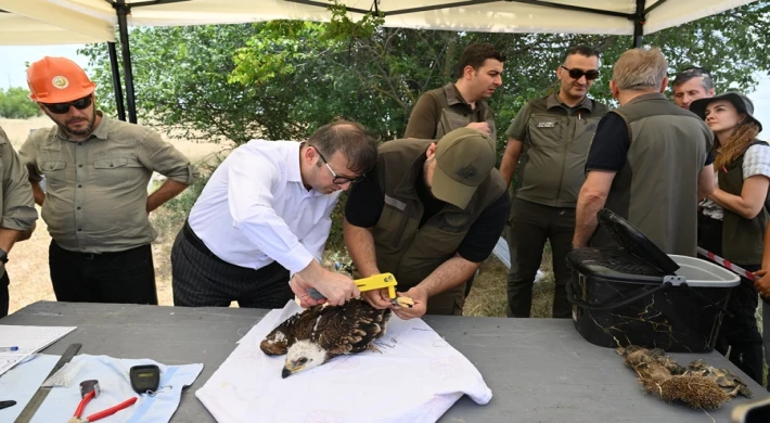 TRAKYA’DA, LEYLEKLER VE ŞAH KARTAL İÇİN KORUMA SEFERBERLİĞİ BAŞLADI