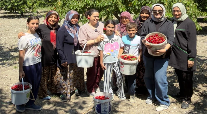 KİRAZ ÜRETİCİLERİNE DESTEK